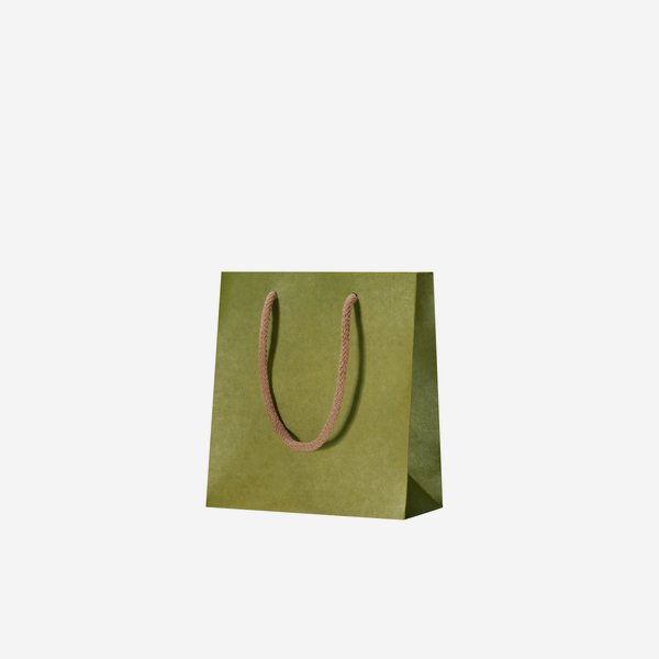 Borsa regalo, verde chiaro, 180/80/195