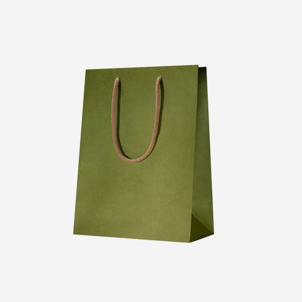 Borsa regalo, verde chiaro, 225/110/295