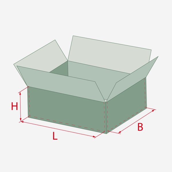 Scatola di imballaggio per 12x 1,0l bottiglie