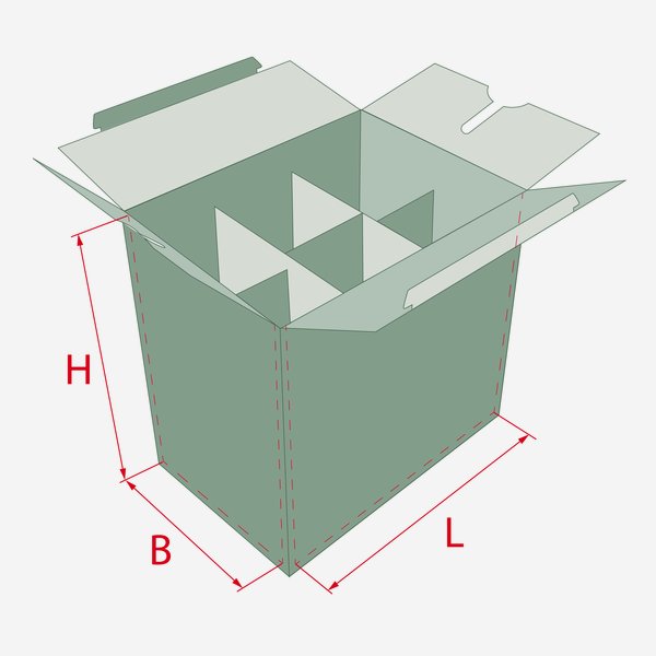 Scatola di imballaggio per 6x 0,25l bottiglia